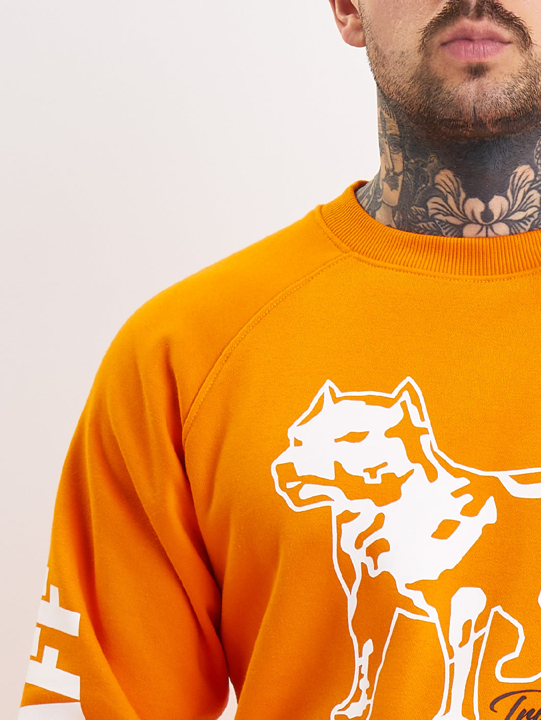 Amstaff Logo 2.0 Sweatshirt Orange - Amstaff Wear