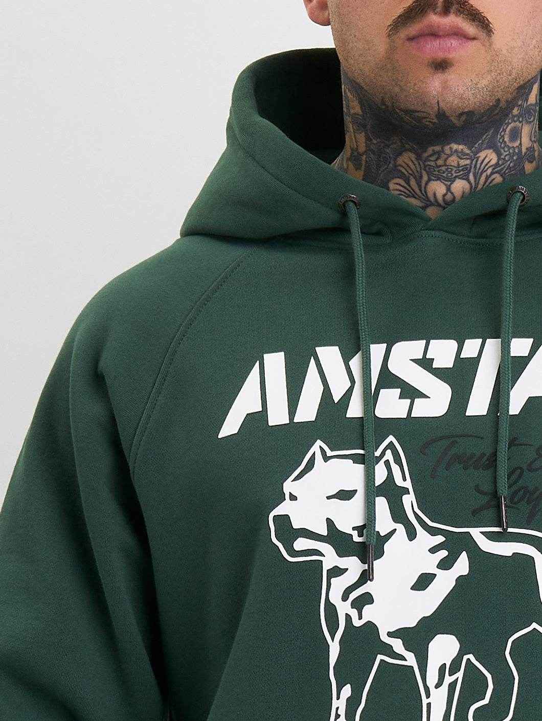Amstaff Logo 2.0 Hoodie Green - Amstaff Wear