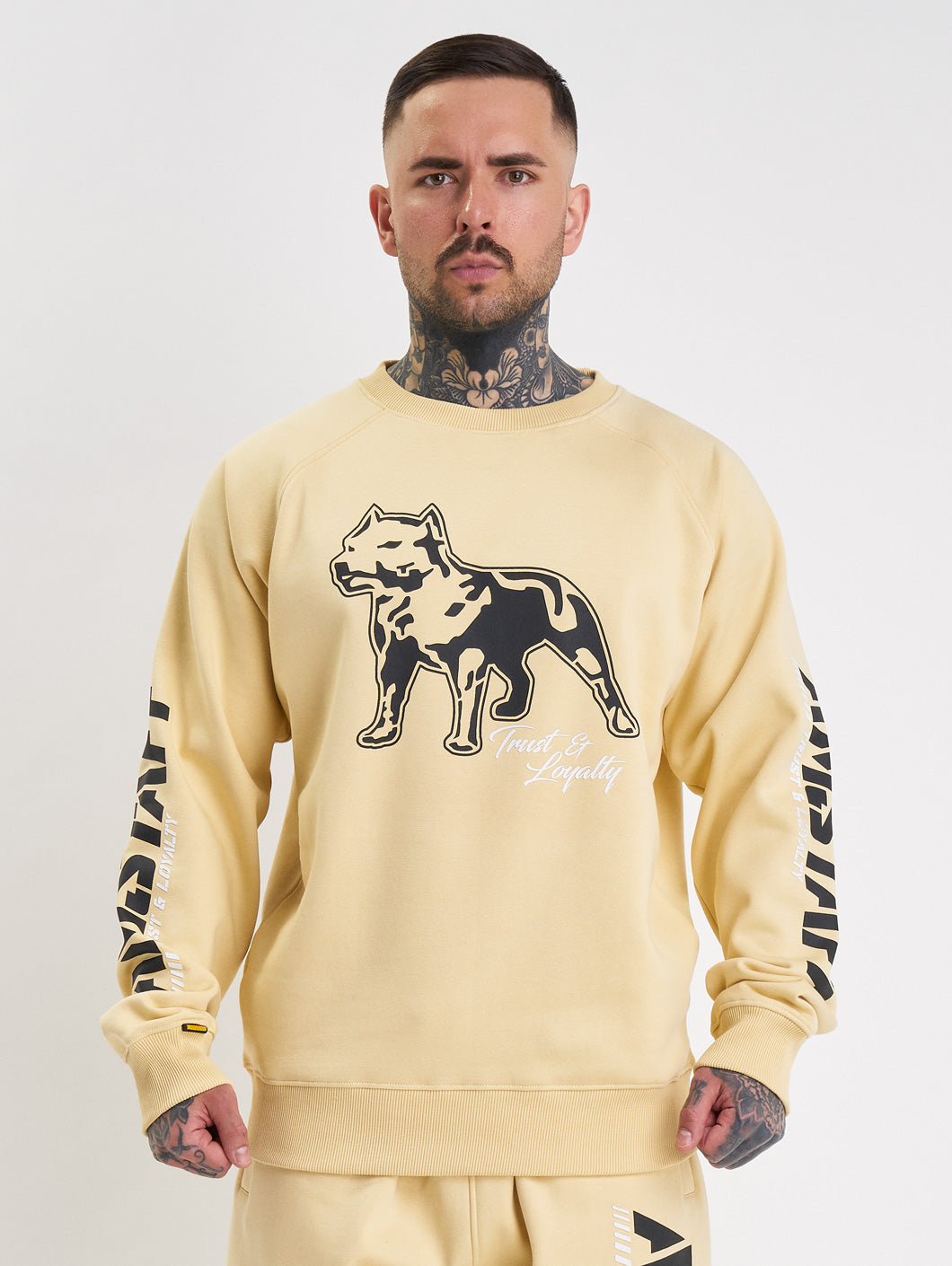 Amstaff Logo 2.0 Sweatshirt Vanilla Cream - Amstaff Wear