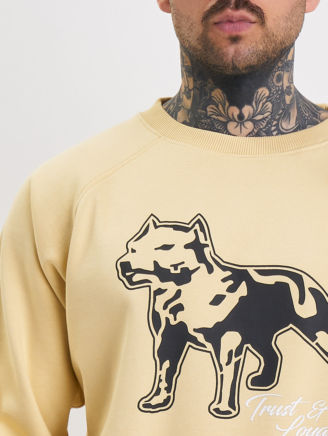 Amstaff Logo 2.0 Sweatshirt Vanilla Cream - Amstaff Wear