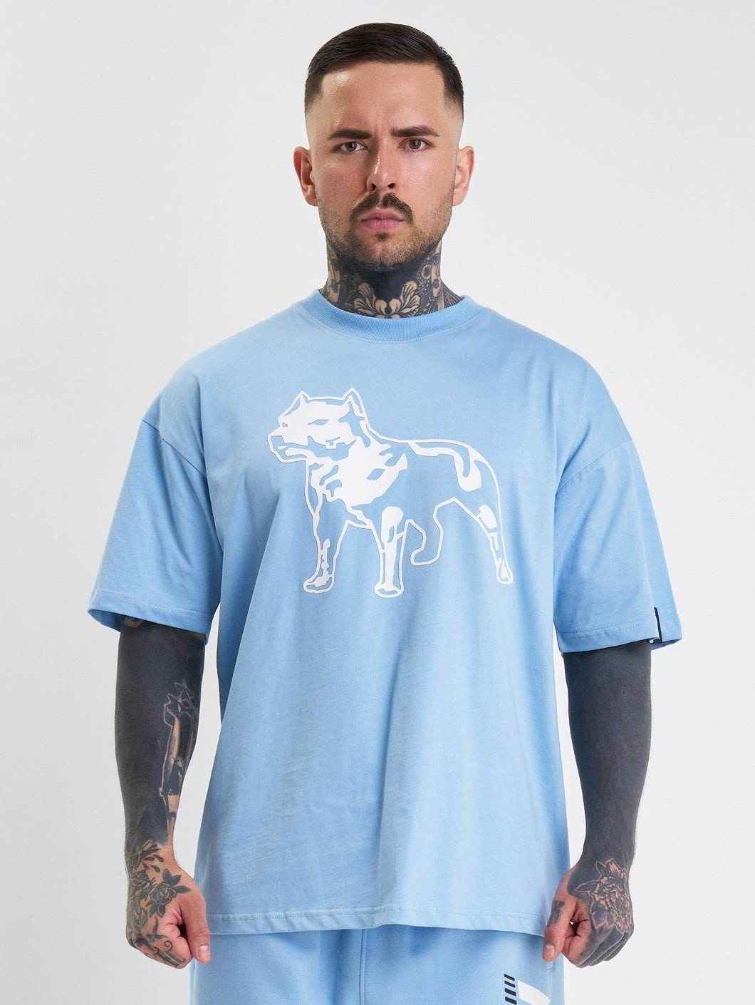Amstaff Logo 2.0 T-Shirt Horizon Blue - Amstaff Wear