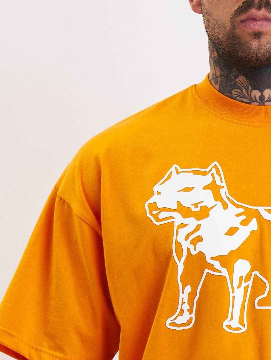 Amstaff Logo 2.0 T-Shirt Orange - Amstaff Wear