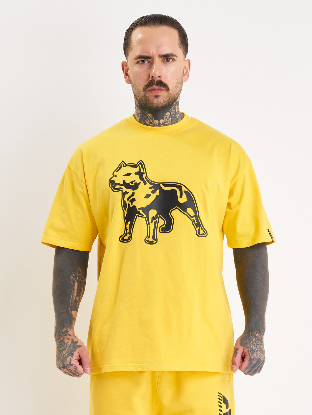 Amstaff Logo 2.0 T-Shirt Yellow Black - Amstaff Wear