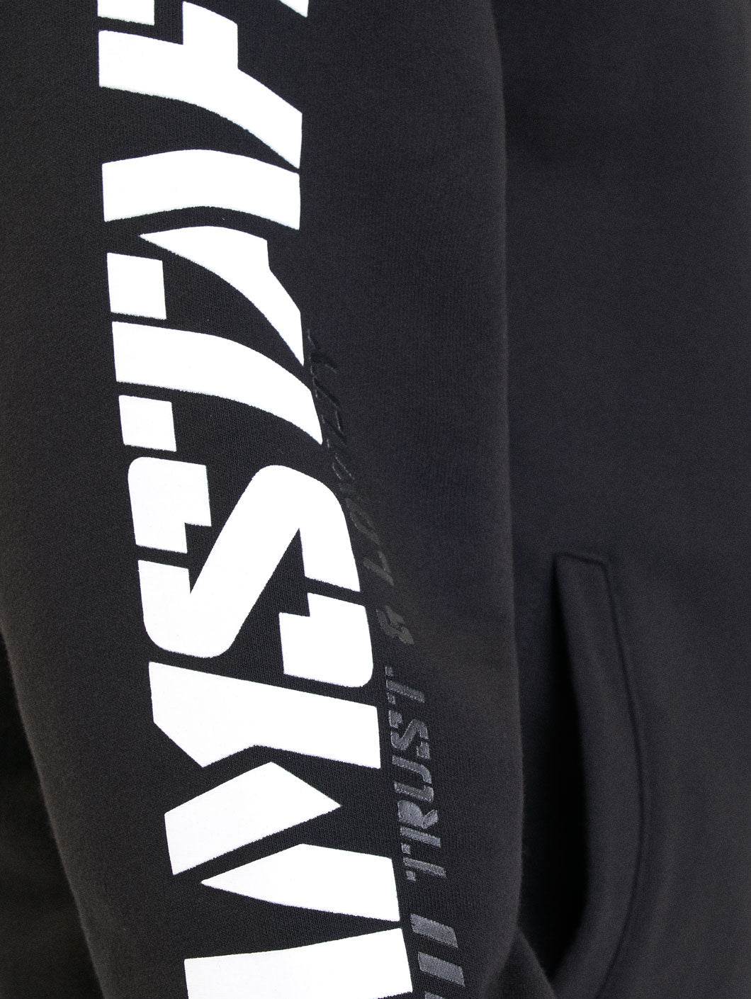 Logo 2.0 Ziphoodie - 4