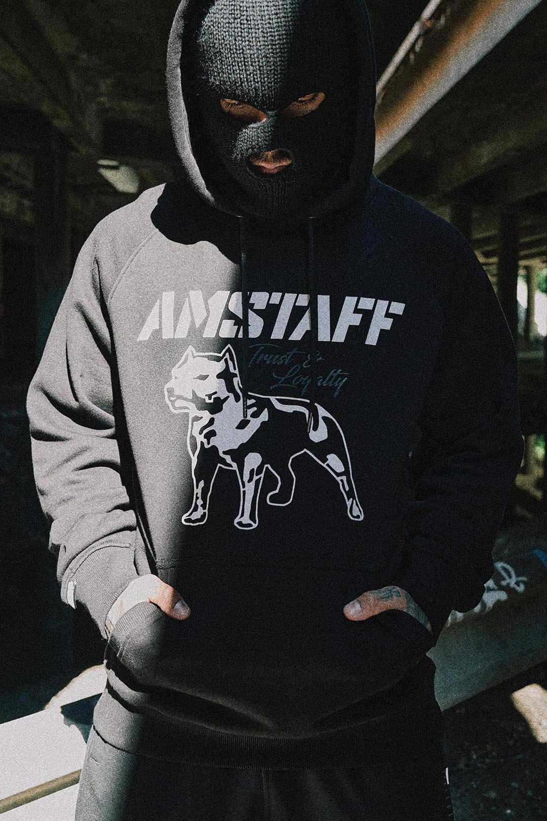Amstaff - Angebote mit bis zu 60 % Rabatt