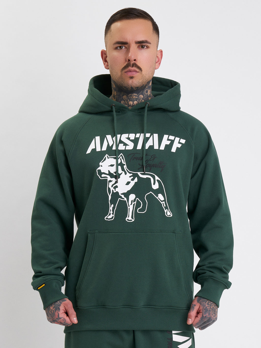 Amstaff Logo 2.0 Hoodie Green - Amstaff Wear