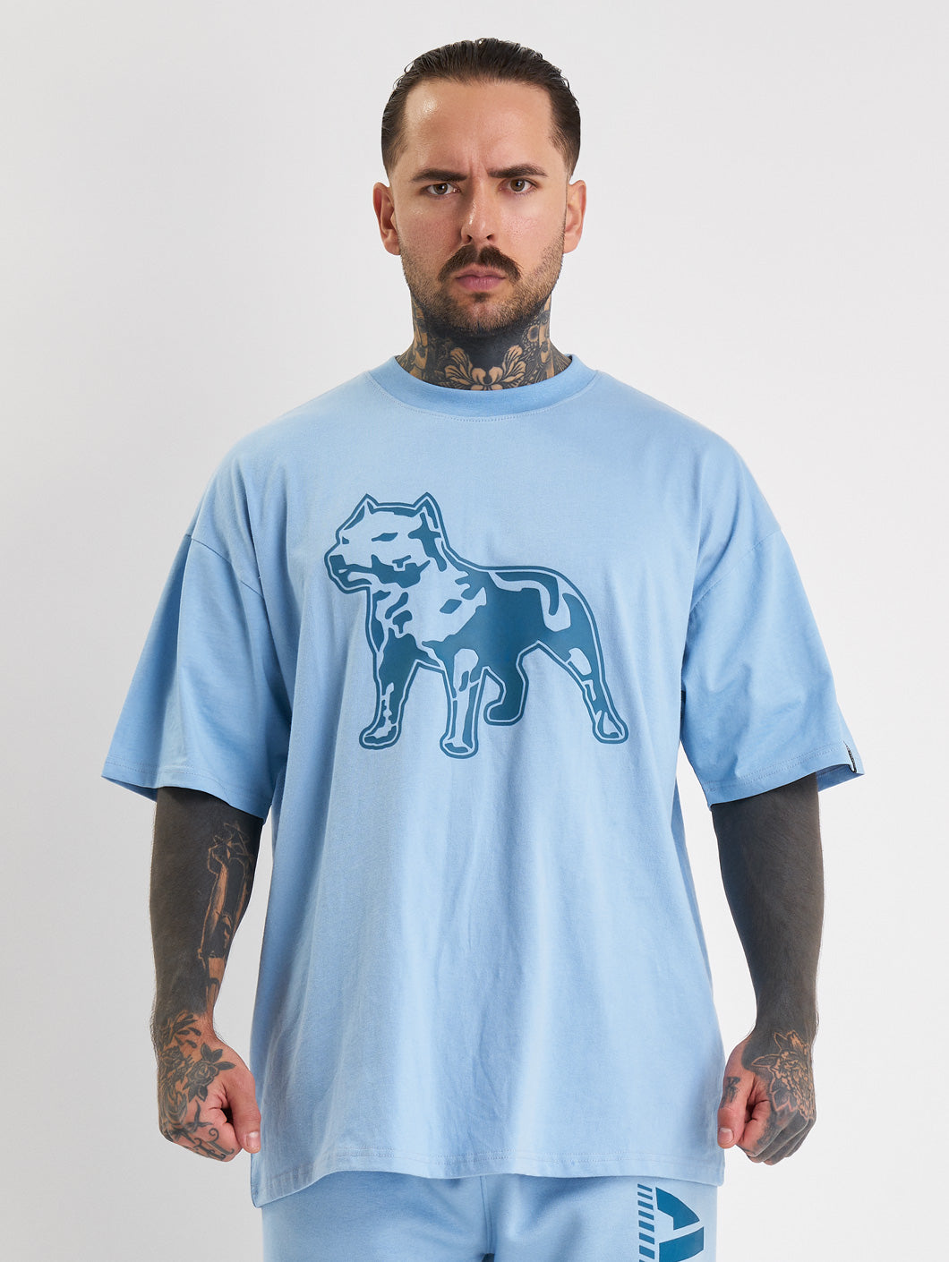 Amstaff Logo 2.0 T-Shirt Horizon Double Blue - Amstaff Wear