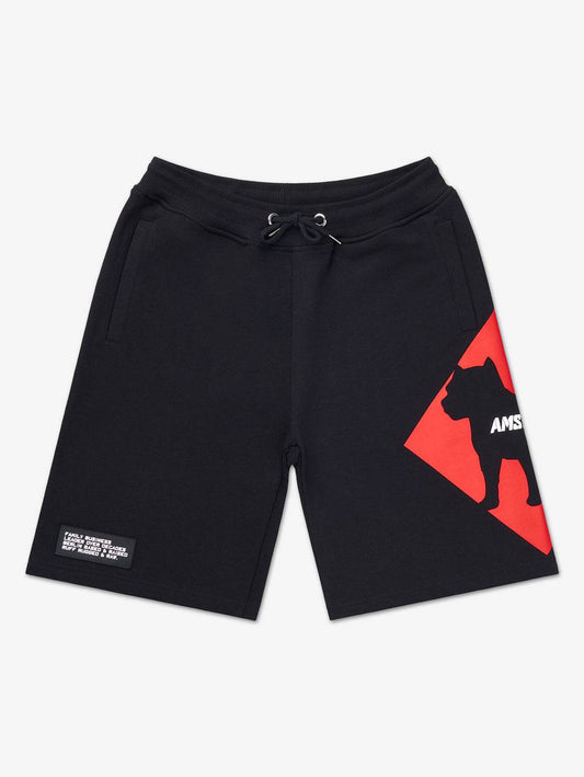 baist sweatshorts - 14