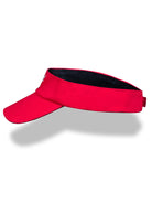 Blood In Blood Out Life´s a Risk Visor